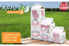 【定期便：全6回】天のしずく　詰め合わせセットＢ(1000ml×6本・500ml×6本・250ml×6本,合計10.5L)【51004】