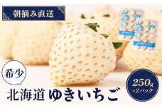 【受注後、随時発送！】【北海道産】ゆきいちご（白いちご） 2Pセット 250g×2 計500g 苺 イチゴ 白いちご 一季成りイチゴ ゆきぼたん パールホワイト 希少 高級 ギフト お取り寄せ ふるさと納税 北海道 中標津【59001】