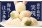 【北海道産】ゆきいちご（白いちご）2Pセット 250g×2 計500g