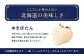 【北海道産】ゆきいちご（白いちご）2Pセット 250g×2 計500g