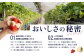 【北海道産】ゆきいちご（白いちご）2Pセット 250g×2 計500g