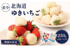 【受注後、随時発送！】【北海道産】ゆきいちご（ゆきぼたん/紅ほっぺ）白×MIX 2Pセット 各250g×2 計500g 苺 白いちご 一季成りイチゴ 希少 ギフト お取り寄せ ふるさと納税 北海道 中標津町【59002】