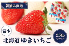 【受注後、随時発送！】【北海道産】ゆきいちご（ゆきぼたん/紅ほっぺ）赤白MIX×2Pセット 250g×2 計500g 苺 白いちご 一季成りイチゴ 希少 ギフト お取り寄せ ふるさと納税 北海道 中標津【59003】