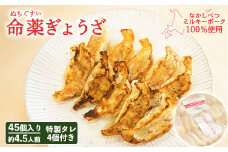 樹苞 なかしべつミルキーポーク 100％使用 命薬ぎょうざ 45個 きぼう 餃子 ぎょうざ ギョーザ オンライン 申請 ふるさと納税 北海道 中標津 本格 中華 点心 飲茶 ミルキーポーク 簡単調理 絶品 グルメ 約4.5人前 中標津町【5301301】