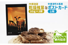中標津産乾燥椎茸 １０ｇ×２袋 計20g　なかしべつ観光協会バージョン ｜ 椎茸 セット ポストカード 2000 2000円 乾燥椎茸 北海道 ふるさと納税 オンライン申請 ワンストップ マイページ 中標津町 出汁 風景 セット【32008】