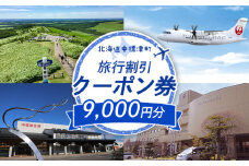 旅行割引 クーポン券 9,000円分 寄付額 30,000円 オンライン 申請 ふるさと納税 北海道 中標津 旅行 旅行券 旅行クーポン 割引 航空券 宿泊券 レンタカー タクシー 中標津町【64008】