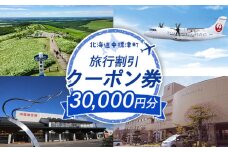 旅行割引 クーポン券 30,000円分 寄付額 100,000円 オンライン 申請 ふるさと納税 北海道 中標津 旅行 旅行券 旅行クーポン 航空券 宿泊券 レンタカー タクシー 中標津町【64010】