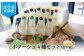 竹下牧場 takeshita farm【定期便6ヶ月】ポタージュ４種８袋セット計1.2kg
