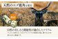 鹿角マグネットリリーサー 1個・角中