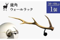 鹿角のウォールラック 1個 50cm～60cm | オンライン申請 ふるさと納税 北海道 中標津 天然 蝦夷 鹿 角 ウォールラック エゾシカ 壁掛け フック ハンガー オブジェ 雑貨 インテリア シンプル ハンドメイド 一点物 贈り物 ギフト お取り寄せ ワンストップ マイページ Accent 中標津町【60007】