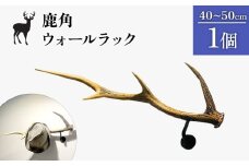鹿角のウォールラック 1個 40cm～50cm | オンライン申請 ふるさと納税 北海道 中標津 天然 蝦夷 鹿 角 ウォールラック エゾシカ 壁掛け フック ハンガー オブジェ 雑貨 インテリア シンプル ハンドメイド 一点物 贈り物 ギフト お取り寄せ ワンストップ マイページ Accent 中標津町【60006】