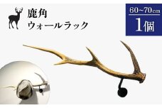 鹿角のウォールラック 1個 60cm～70cm | オンライン申請 ふるさと納税 北海道 中標津 天然 蝦夷 鹿 角 ウォールラック エゾシカ 壁掛け フック ハンガー オブジェ 雑貨 インテリア シンプル ハンドメイド 一点物 贈り物 ギフト お取り寄せ ワンストップ マイページ Accent 中標津町【60008】