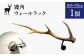 鹿角のウォールラック 1個 60cm～70cm