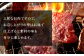 北海道産 黒毛和牛 A5 上カルビ 500g 焼肉用