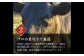 北海道産 黒毛和牛 A4 ロース 300g ・黒毛和牛 A5 カルビ 300g (合計600g)