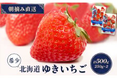 【受注後、随時発送！】【北海道産】ゆきいちご（紅ほっぺor恋みのり） ２Pセット 各250g×２ 計500g【59005】