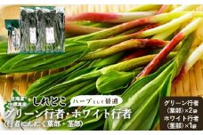 【ハーブとして最適】行者にんにく3袋（葉部・茎部）グリーン行者×2袋 ホワイト行者×1袋 | オンライン 申請 ふるさと納税 北海道 中標津 ハーブ 香草 行者ニンニク にんにくの芽 長期保存 山菜 山の幸 野菜 疲労回復 健康効果 長寿 体力増強 ダイエット効果 焼肉 卵とじ トッピング おひたし お取り寄せ 北海道 中標津町 中標津【20019】