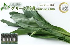 【ハーブとして最適】行者にんにくグリーン行者×4袋 （葉部） | オンライン 申請 ふるさと納税 北海道 中標津 ハーブ 香草 行者ニンニク にんにくの芽 山菜 山の幸 野菜 疲労回復 健康効果 長寿 体力増強 長期保存 ダイエット効果 焼肉 卵とじ トッピング おひたし お取り寄せ 北海道 中標津町 中標津【20020】