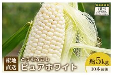 【先行予約】上原農場直送　有機栽培とうもろこし (ピュアホワイト) 約5kg 約10本前後 | ふるさと納税 北海道 中標津 なかしべつ とうもろこし ピュアホワイト とうきび コーン 野菜 夏野菜 夏 産地直送 新鮮 採れたて 朝採れ 甘い お取り寄せ ワンストップ マイページ 上原農場 中標津町【66016】