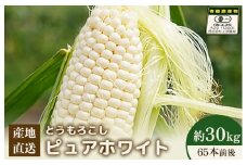【先行予約】上原農場直送 有機栽培とうもろこし (ピュアホワイト)  約30kg 約65本前後 | ふるさと納税 北海道 中標津 なかしべつ とうもろこし ピュアホワイト とうきび コーン 野菜 夏野菜 夏 産地直送 新鮮 採れたて 朝採れ 甘い オーガニックお取り寄せ ワンストップ マイページ 上原農場 中標津町【66018】