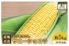 【先行予約】上原農場直送 有機栽培とうもろこし (サニーショコラ) 約5kg 約10本前後 | ふるさと納税 北海道 中標津 なかしべつ とうもろこし サニーショコラ とうきび コーン 野菜 夏野菜 夏 産地直送 新鮮 採れたて 朝採れ 甘い オーガニック お取り寄せ ワンストップ マイページ 上原農場 中標津町【66019】