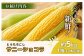 【先行予約】上原農場直送 有機栽培とうもろこし (サニーショコラ) 約5kg 約10本前後