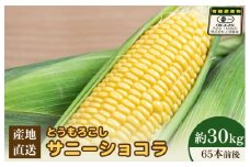 【先行予約】上原農場直送 有機栽培とうもろこし (サニーショコラ) 約30kg 約65本前後 | ふるさと納税 北海道 中標津 なかしべつ とうもろこし サニーショコラ とうきび コーン 野菜 夏野菜 夏 産地直送 新鮮 採れたて 朝採れ 甘い お取り寄せ ワンストップ マイページ 上原農場 中標津町【66021】