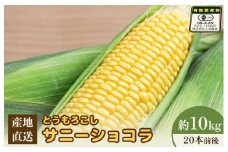 【先行予約】上原農場直送 有機栽培とうもろこし (サニーショコラ) 約10kg 約20本前後 | ふるさと納税 北海道 中標津 なかしべつ とうもろこし サニーショコラ とうきび コーン 野菜 夏野菜 夏 産地直送 新鮮 採れたて 朝採れ 甘い オーガニックお取り寄せ ワンストップ マイページ 上原農場 中標津町【66020】