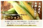 【先行予約】上原農場直送 有機栽培とうもろこし (サニーショコラ) 約10kg 約20本前後