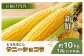 【先行予約】上原農場直送 有機栽培とうもろこし (サニーショコラ) 約10kg 約20本前後