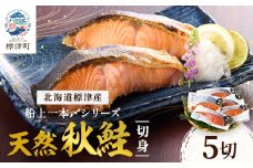 北海道標津産 天然 秋鮭 切身 (5切)＜船上一本〆シリーズ＞ 【1023823】