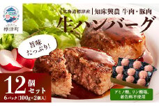 生ハンバーグ12個セット　冷凍 国産 牛肉 豚肉 ギフト 小分け 人気 便利【1088219】