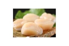 北海道産 冷凍帆立貝柱 大1kg(約26～35玉)【1111809】