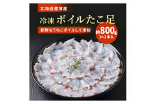 北海道標津産　冷凍ボイルたこ足　1～2本入(約800g)【1111810】