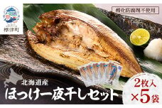 北海道産 天然ほっけ一夜干しセット 2枚入×5袋　干物 ホッケ 北海道産 冷凍【1133087】