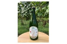 スパークリングワイン赤「しれとこのしずく」750ml 標津町川北産葡萄100%使用　お酒 人気 限定【1339914】