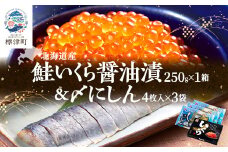 北海道産 いくら醤油漬 250g×1箱 & 〆にしん 4枚入×3袋【1385480】