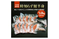 〈標津産〉 活き〆時知らず鮭　 半身切身【1148810】