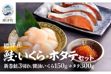 標津産! 鮭・いくら・ホタテ セット イクラ 北海道 人気 おすすめ 帆立 サーモン 魚卵 天然【1430410】
