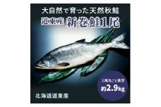 道東産新巻鮭オス(約2.9kg)1尾【1035027】