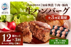 ＜毎月定期便＞生ハンバーグ12個セット　冷凍 国産 牛肉 豚肉 ギフト 小分け 人気 全3回【4006285】