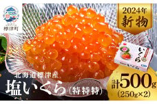＜令和6年新物＞塩いくら500g(250g×2) イクラ 北海道 人気 おすすめ 小分け 魚卵 天然_いくら 塩漬け 冷凍 小分け 鮭 鮭卵 国産 本場 北海道産【1565548】