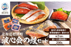 ＜北海道標津町＞波心会の鮭セット　天然 いくら 醤油漬 さけ 切身 味噌漬け 新巻 輪切【1564159】