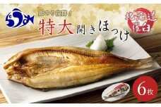 知床羅臼産 特大開きほっけ(6枚) 生産者 支援 応援