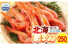 羅臼産北海しまえび(小) ボイル冷凍250g エビ 海老 北海シマエビ 羅臼町 北海道 海産物 魚介 真空 生産者 支援 応援