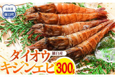 ダイオウキジンエビ(ガサエビ) 300g えび エビ 海老  魚介 魚介類 北海道 羅臼町 海産物 冷凍 刺身 フライ 生産者 支援 応援
