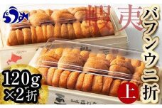 【先行予約/2026年1月より発送】エゾバフンウニ　折うに(上)120×2枚