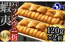 【先行予約/2026年1月より発送】エゾバフンウニ　折うに(特上)120×2枚