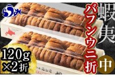 【先行予約/2026年1月より発送】エゾバフンウニ（中）折うに 120g×2枚