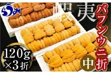 【先行予約/2026年1月より発送】エゾバフンウニ（中）折うに 120g×3枚